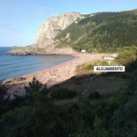 Playa Laga Ebi952